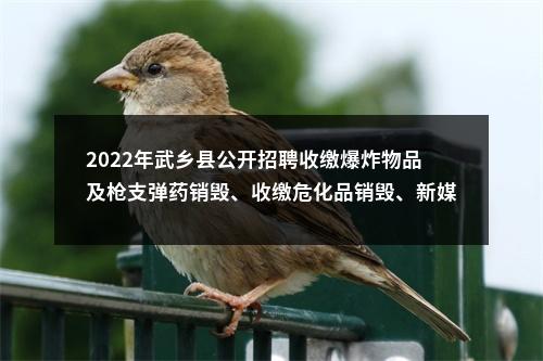 2022年武乡县公开招聘收缴爆炸物品及枪支弹药销毁、收缴危化品销毁、新媒体制作维护宣传工作人员公告 图片