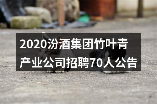 2020汾酒集团竹叶青产业公司招聘70人公告 图片