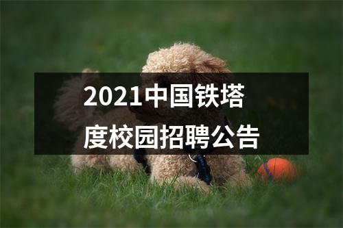 2021中国铁塔度校园招聘公告 图片